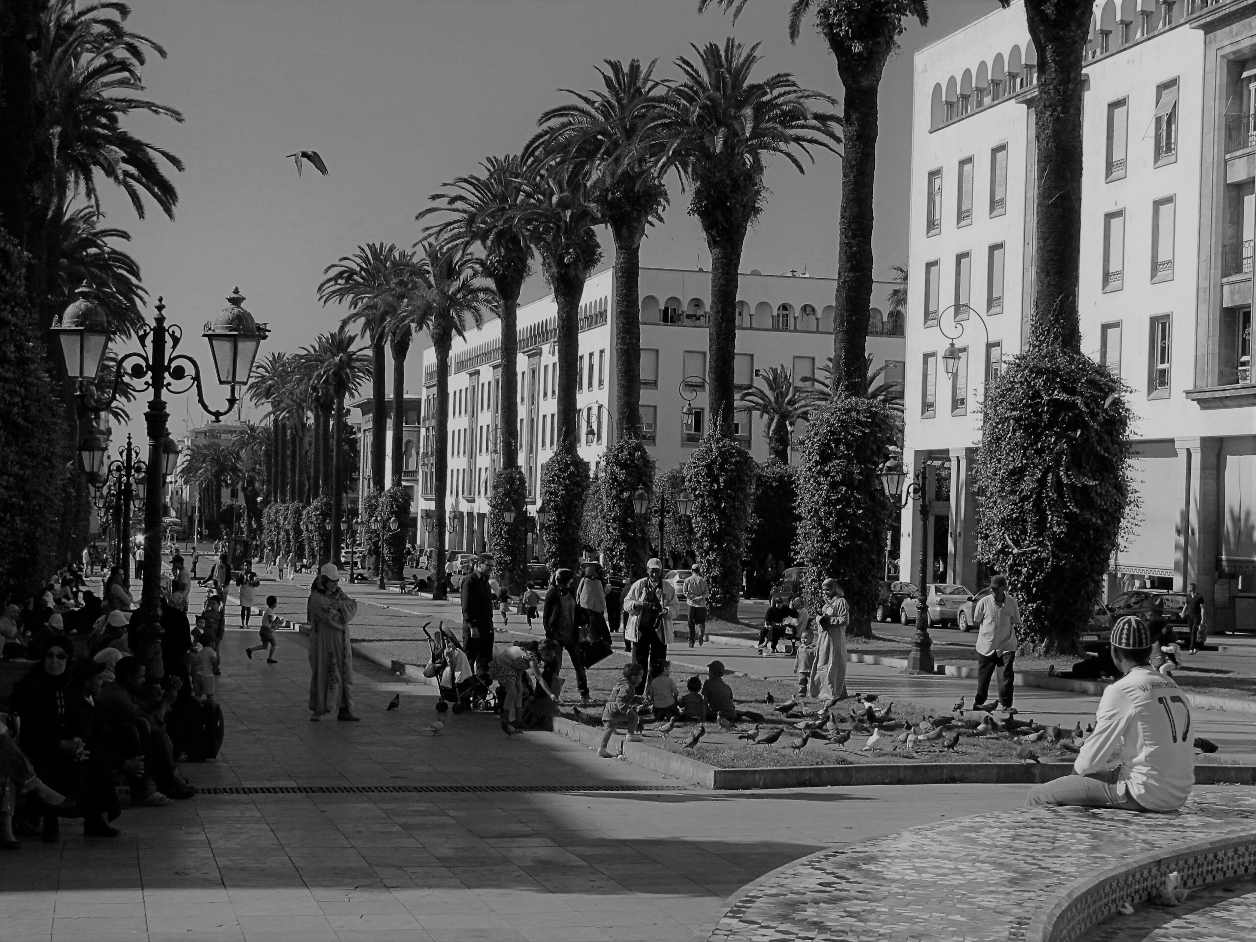 istock-1209255947-scaled.jpg