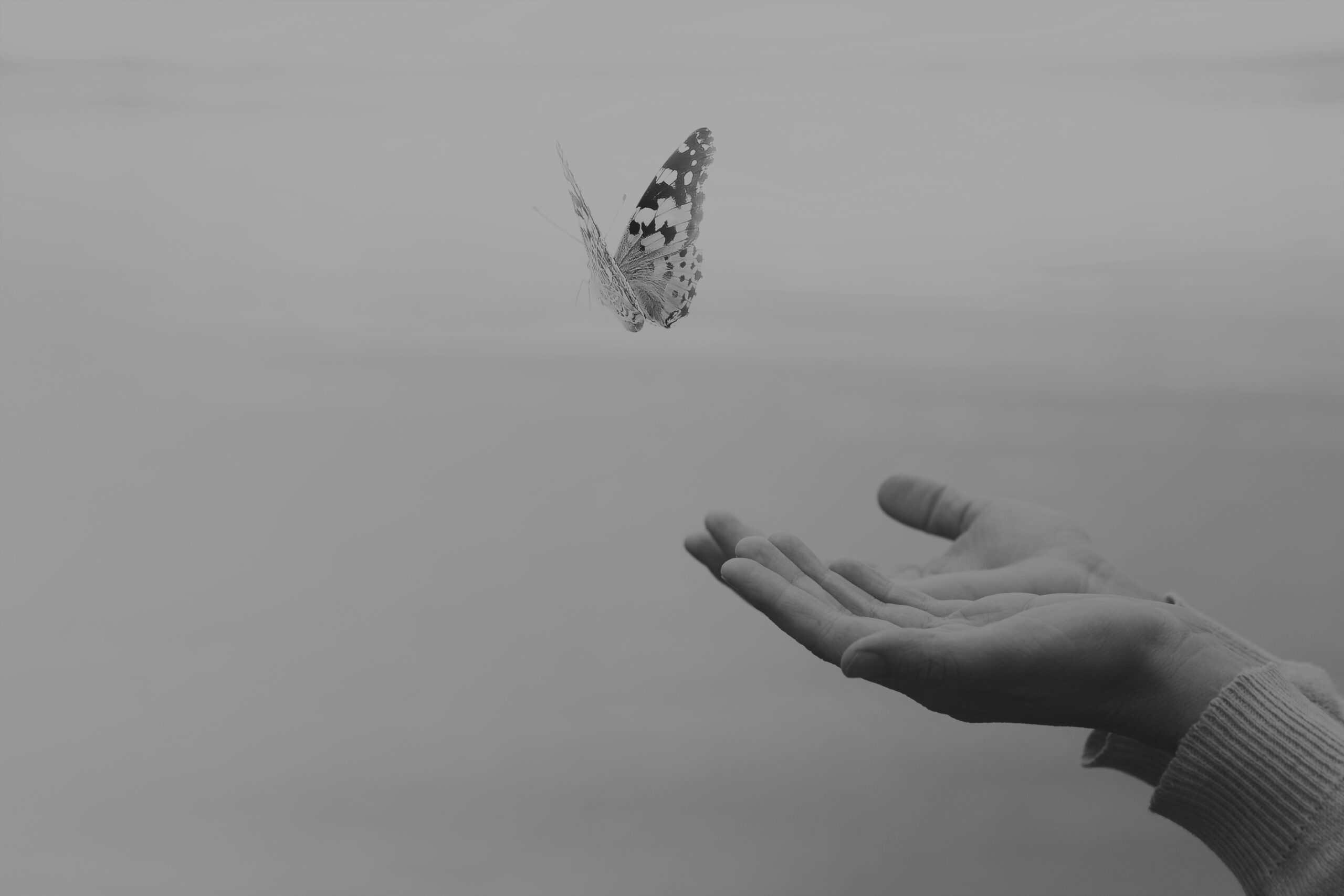 butterfly flies free from a woman's hand