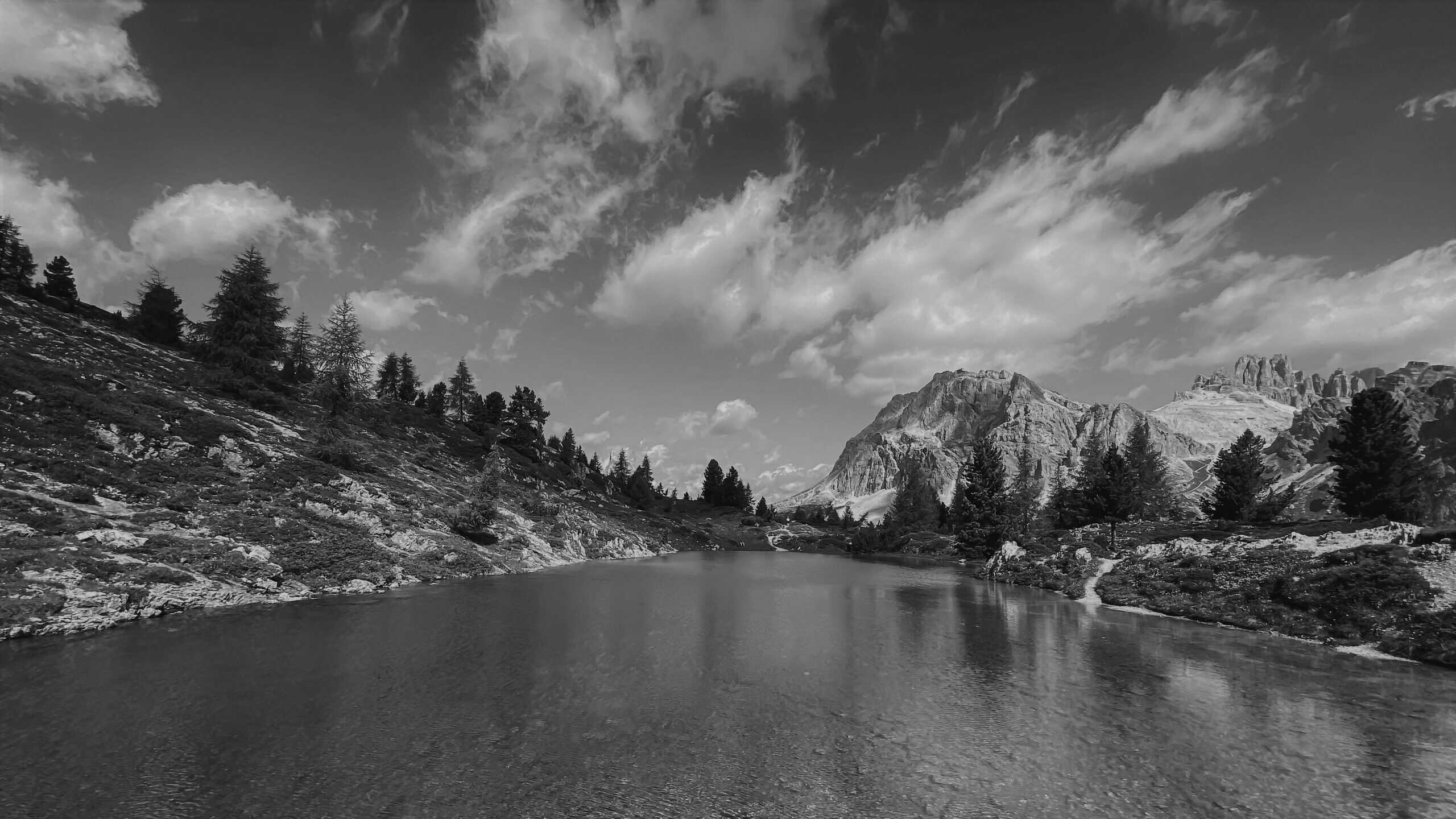 mauro-grazzi-wd6rbyauhs-unsplash-scaled.jpg